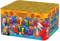 Новогодние цветы Фейерверк купить в Курильске | kurilsk.salutsklad.ru