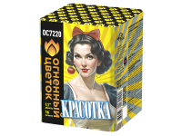 Красотка Батарея салютов купить в Курильске | kurilsk.salutsklad.ru