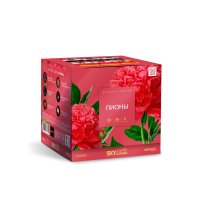 Пионы Салют купить в Курильске | kurilsk.salutsklad.ru