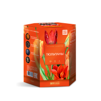 Тюльпаны Салют купить в Курильске | kurilsk.salutsklad.ru