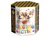 Счастье есть! Салют купить в Курильске | kurilsk.salutsklad.ru