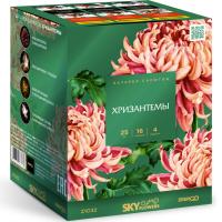 Хризантемы Фейерверк купить в Курильске | kurilsk.salutsklad.ru