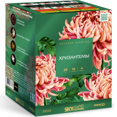Хризантемы Фейерверк купить в Курильске | kurilsk.salutsklad.ru