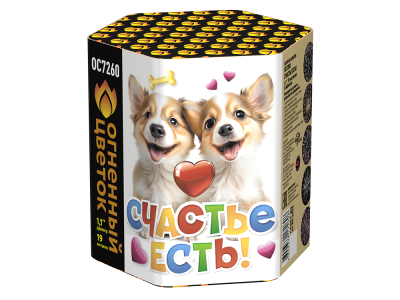 Счастье есть! Салют купить в Курильске | kurilsk.salutsklad.ru